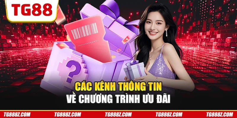 Các kênh thông tin về chương trình ưu đãi
