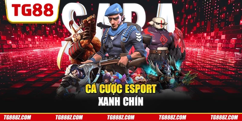 Cá cược esport xanh chín