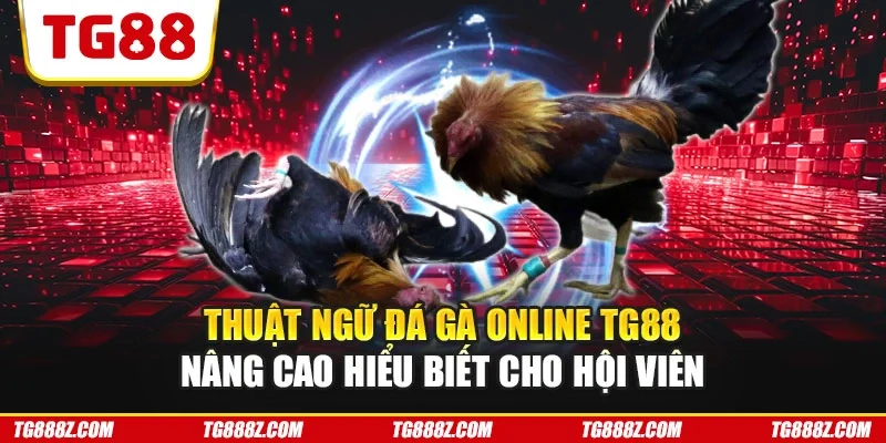 Thuật ngữ đá gà online TG88 nâng cao hiểu biết cho hội viên