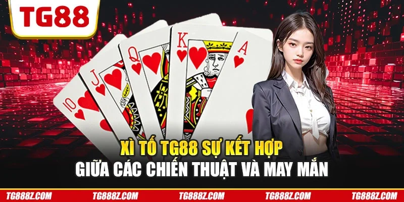 Xì tố TG88